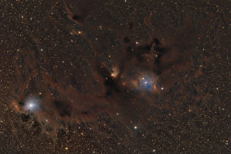 The Chamaeleon Nebula